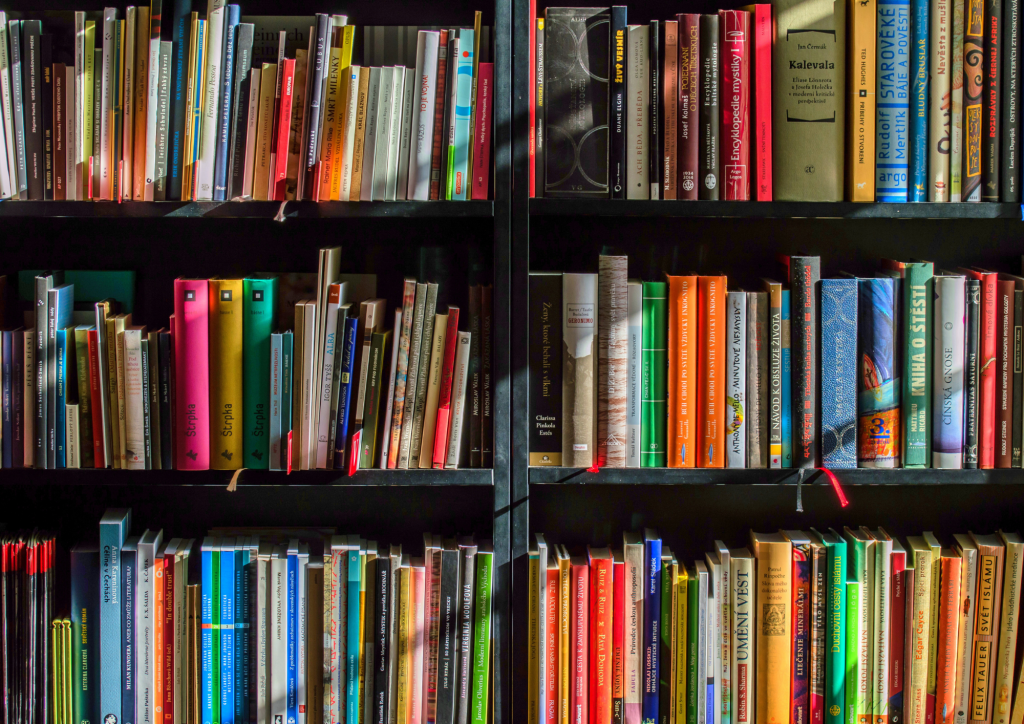 Bücherregal