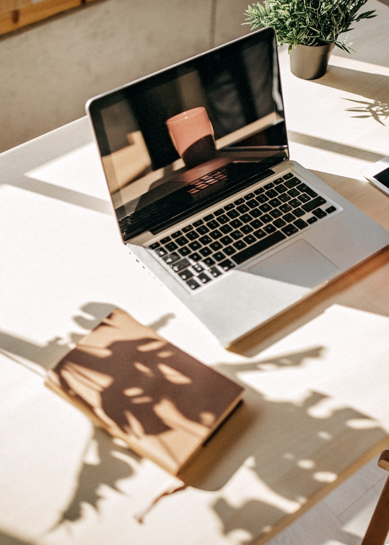 Man sieht einen Laptop in der Sonne, um den -Zusammenhang zwischen dem Sonnenhormon Vitamin D und dem angebotenen Onlinekurs zu symbolisieren