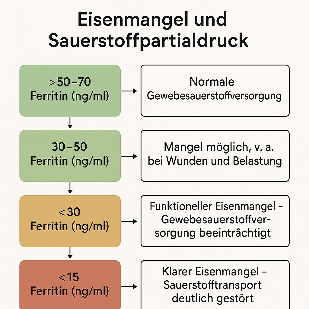 Zusammenhang Eisenmangel und Wundheilungsstörung in der Zahnmedizin