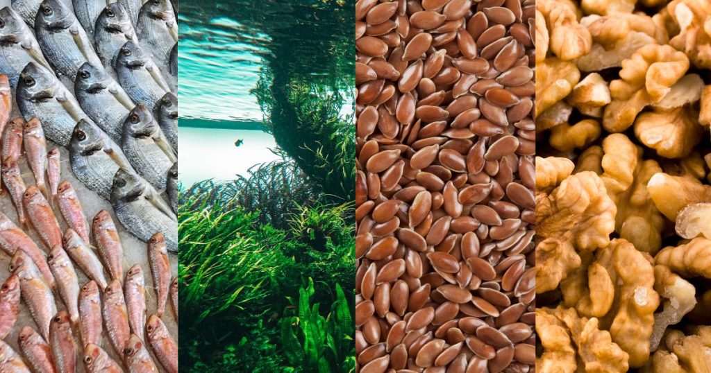 Die Quellen an omega-3-Fettsäuren für die Zahnmedizin sind wie in allen anderen Bereichen auch begrenzt.